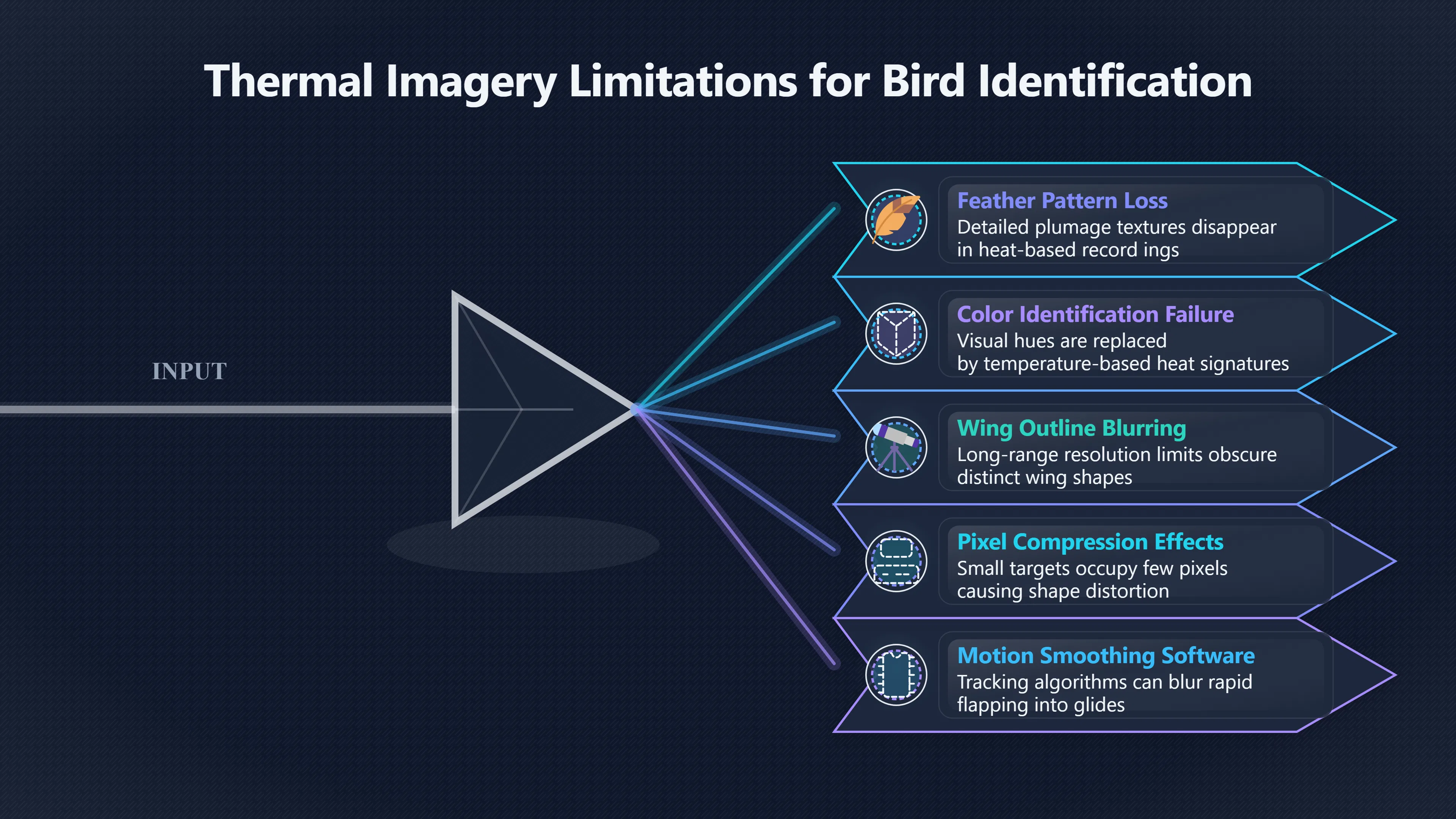 Overview image for Why Birds Fool Infrared UFO Cameras