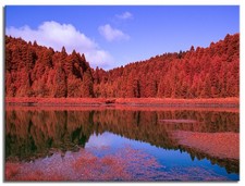 Listing image for Converted Infrared IR Full Spectrum Panasonic G3 Camera 154
